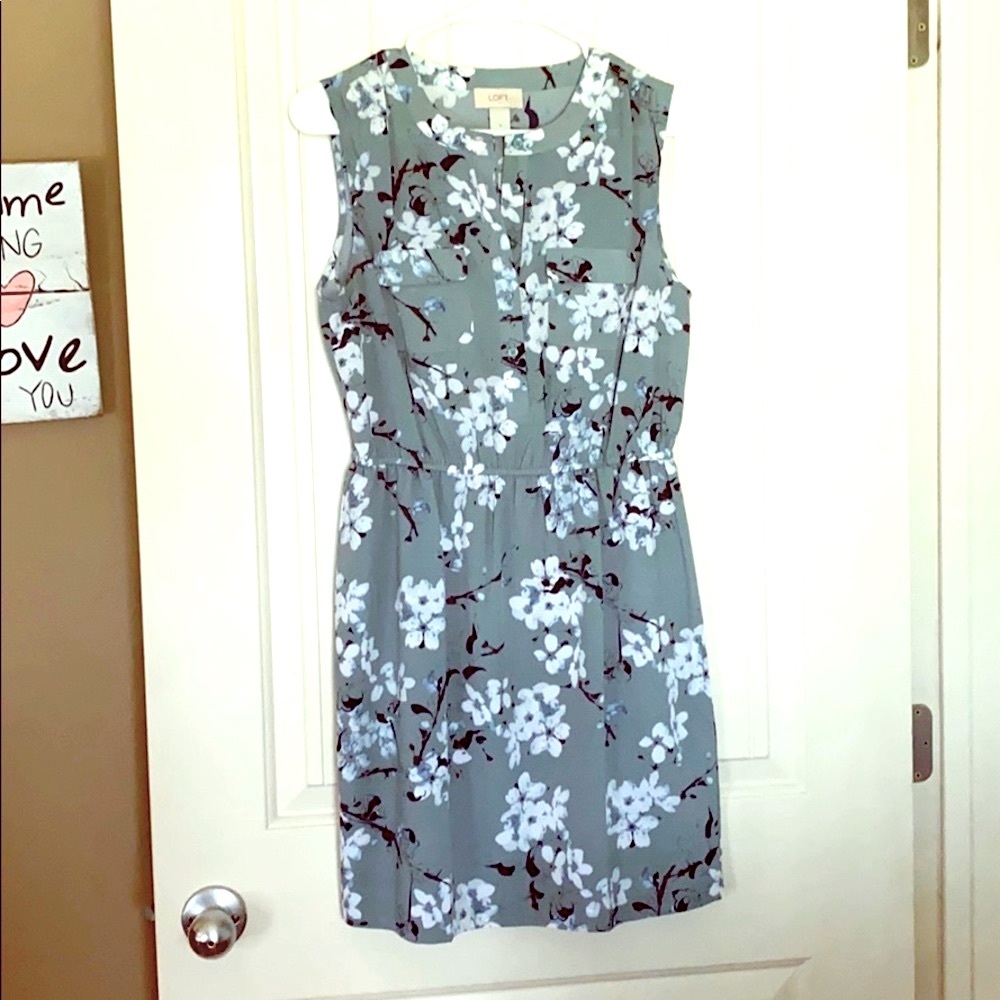 Ann Taylor Loft dress